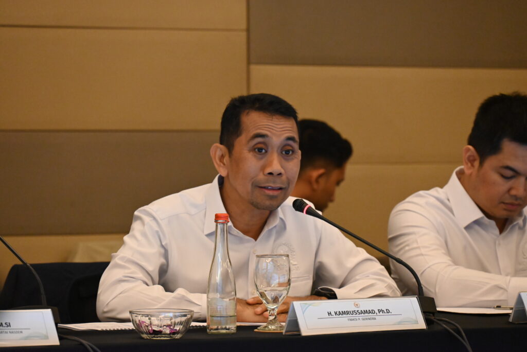 Anggota Komisi XI DPR RI, Kamrussamad