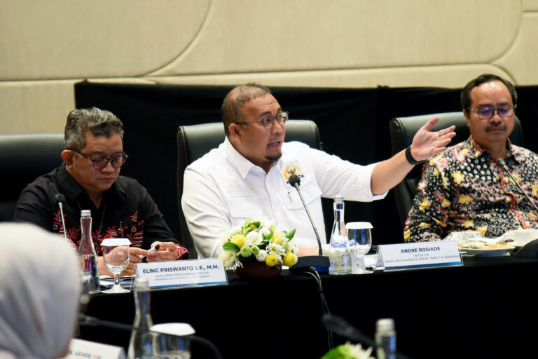 Wakil Ketua Komisi VI DPR RI, Andre Rosiade