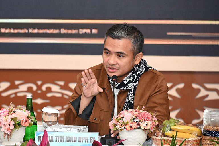Wakil Ketua MKD DPR RI, Imron Amin