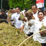 Dari Brebes ke Dunia, Titiek Soeharto Sebut Bawang Merah RI Makin Mendunia