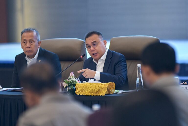 Wakil Ketua DPR RI, Sufmi Dasco Ahmad