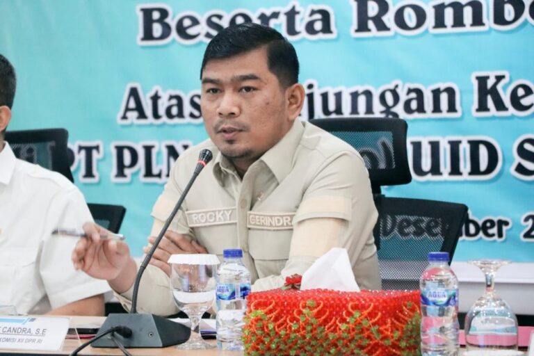 Anggota Komisi XII DPR RI, Rocky Candra
