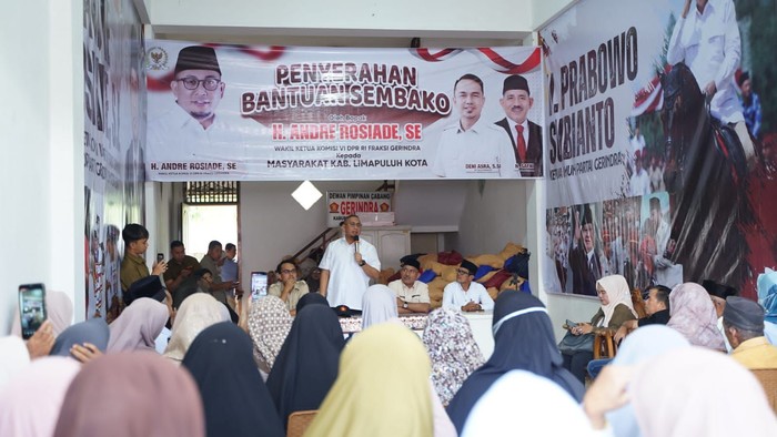 Wakil Ketua Komisi VI DPR RI, Andre Rosiade