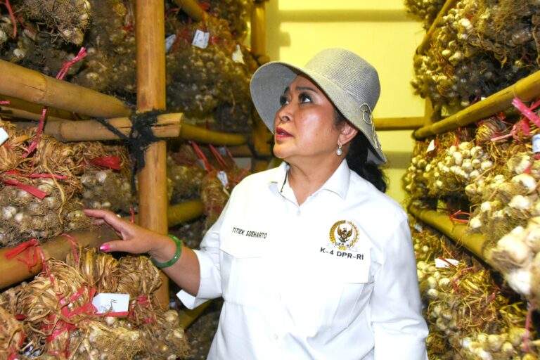 Ketua Komisi IV DPR RI, Siti Hediati Soeharto