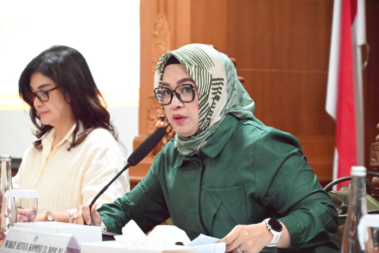 Wakil Ketua Komisi IX DPR RI, Putih Sari