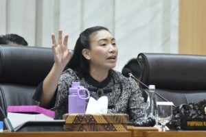 Wakil Ketua Komisi VII DPR RI, Rahayu Saraswati Djojohadikusumo