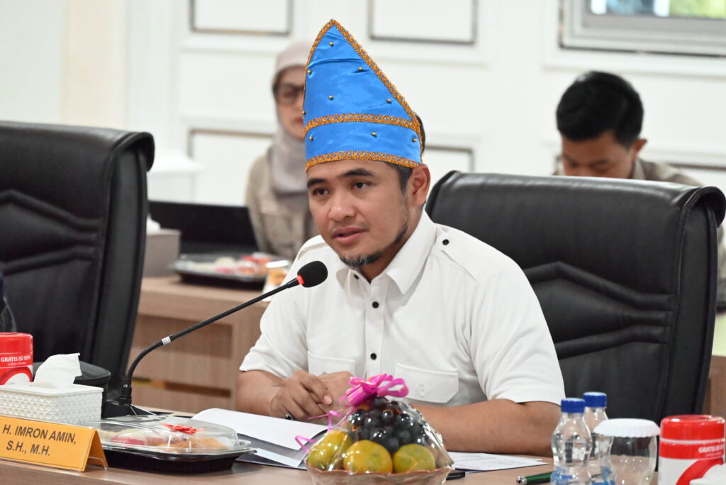 Wakil Ketua Mahkamah Kehormatan Dewan (MKD) DPR RI, Imron Amin