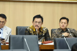 Anggota Komisi XII DPR RI, Ramson Siagian