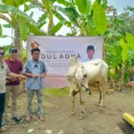 DPC Gerindra Purworejo Salurkan Hewan Kurban untuk Perkuat Semangat Kebersamaan