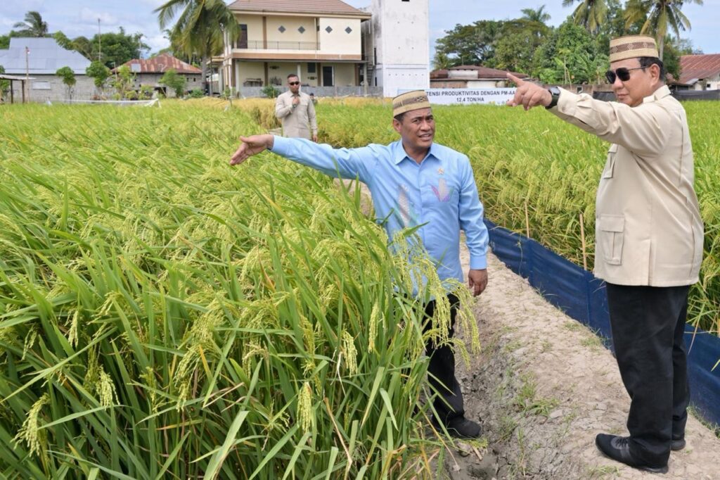 Presiden Prabowo Subianto