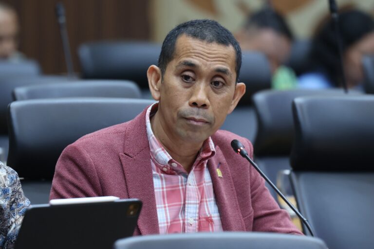 Anggota Banggar DPR RI, Kamrussamad