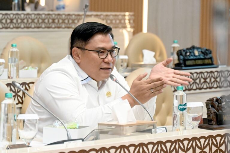 Anggota Komisi V DPR RI, Danang Wicaksana Sulistya