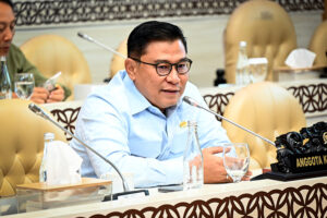 Anggota Komisi V DPR RI, Danang Wicaksana Sulistya
