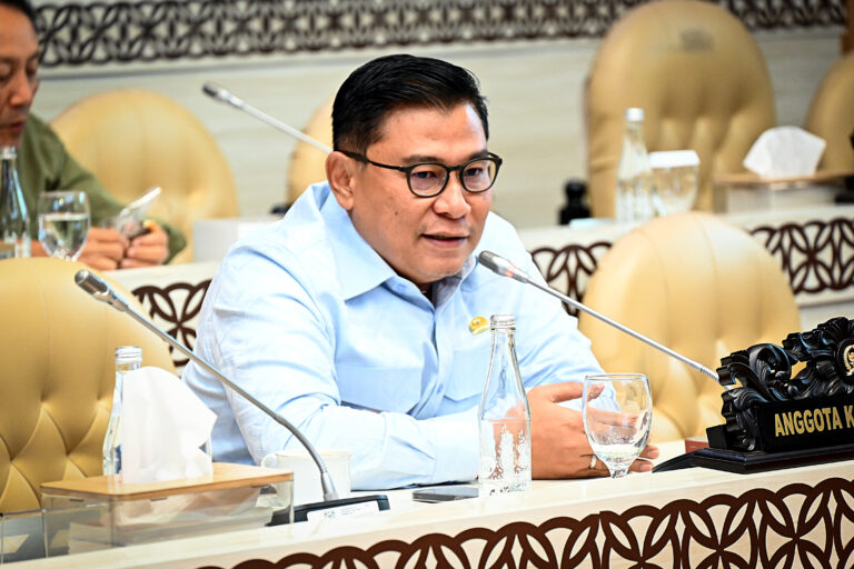 Anggota Komisi V DPR RI, Danang Wicaksana Sulistya