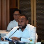 Soroti Penyalahgunaan Visa Turis untuk Bekerja, Yan Mandenas Minta Pengawasan WNA Diperketat