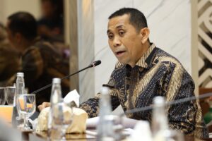 Anggota Komisi XI DPR RI, Kamrussamad