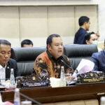 Hekal: Revisi UU P2SK Perkuat Sektor Keuangan dan Buka Jalan Masuknya Dana Indonesia dari Luar Negeri