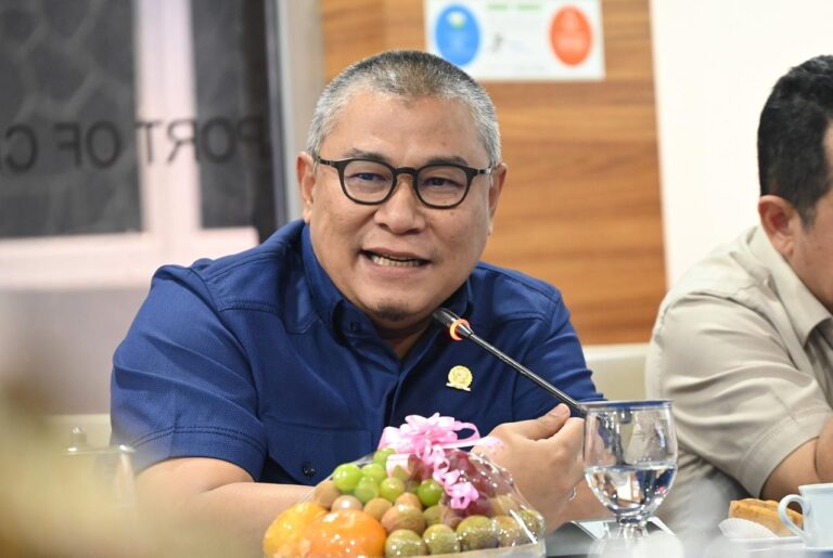 Anggota Komisi V DPR RI, Danang Wicaksana Sulistya