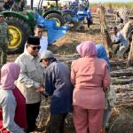 Presiden Prabowo Tinjau Panen Raya Tebu, Petani: Kami Bangga Presiden Turun ke Lapangan