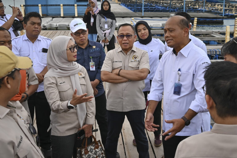Anggota Komisi IV DPR RI, Melati