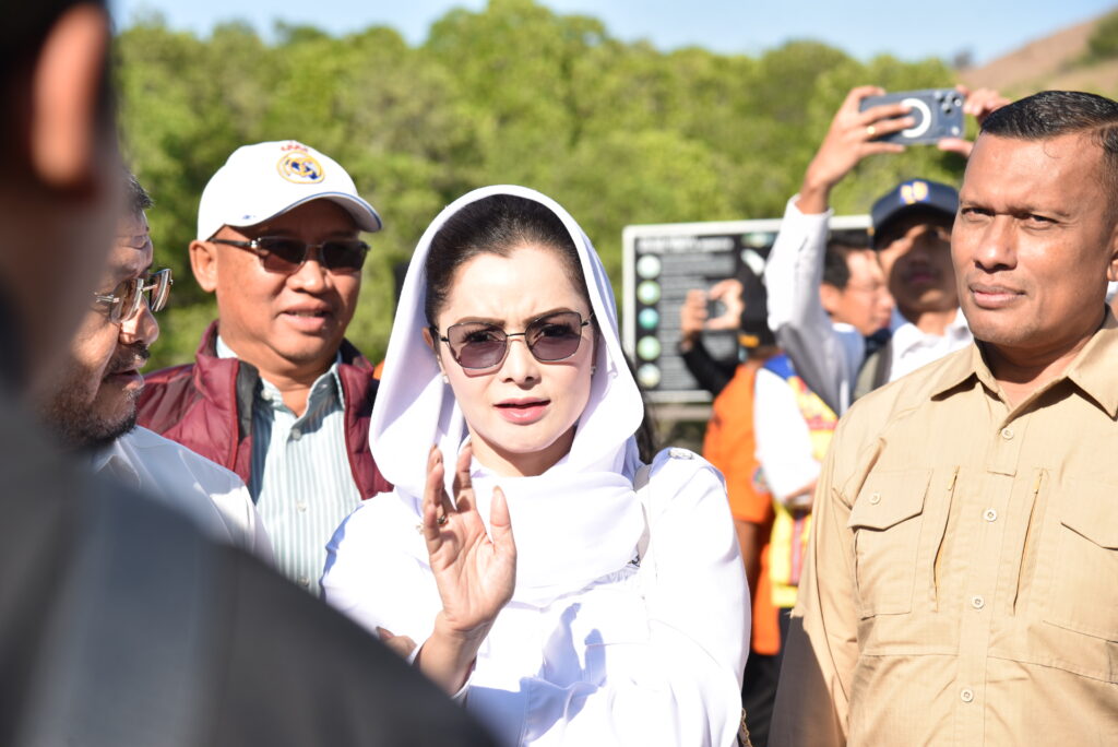 Anggota Komisi V DPR RI, Novita Wijayanti