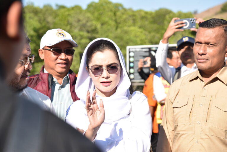 Anggota Komisi V DPR RI, Novita Wijayanti