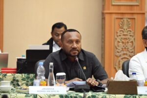 Anggota Komisi XIII DPR RI, Yan Permenas Mandenas