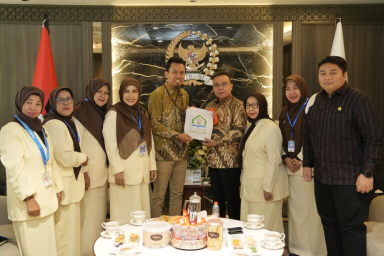 Wakil Ketua DPR RI, Sufmi Dasco Ahmad