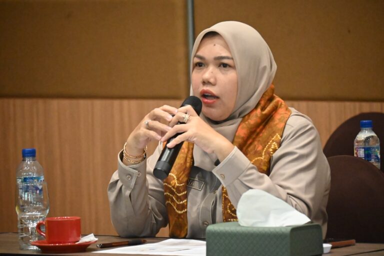 Anggota Badan Urusan Rumah Tangga (BURT) DPR RI, Mariana