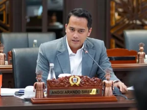 Anggota DPRD DKI Jakarta, Anggi Arando Siregar