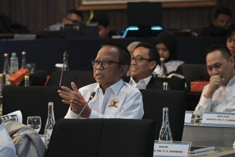 Anggota Komisi VI DPR RI sekaligus Kapoksi Fraksi Partai Gerindra, Khilmi