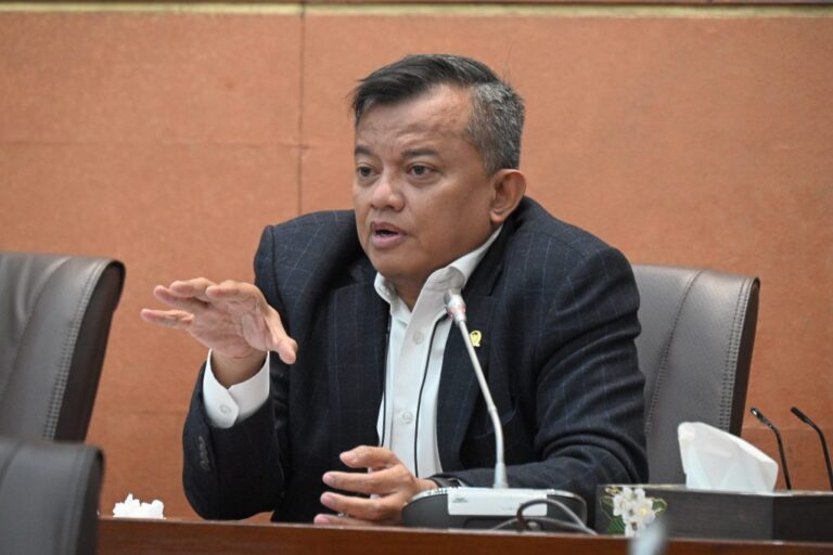 Anggota Komisi V DPR RI, Mulyadi