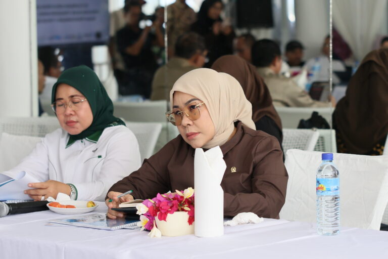 Anggota Komisi VII DPR RI, Rahmawati
