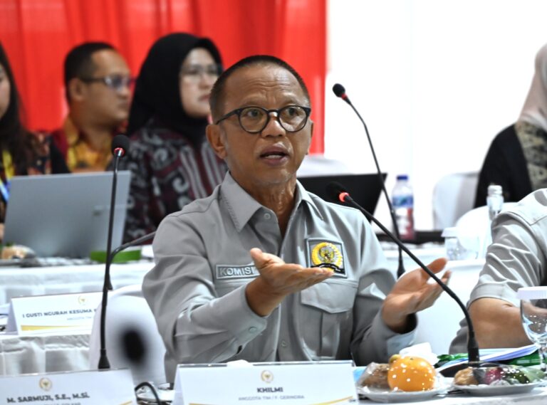Anggota Komisi VI DPR RI, Khilmi