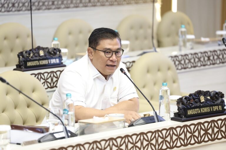 Anggota Komisi V DPR RI, Danang Wicaksana Sulistya
