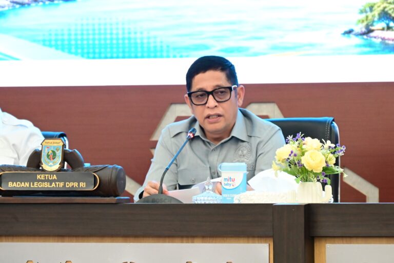 Ketua Badan Legislasi (Baleg) DPR RI, Bob Hasan