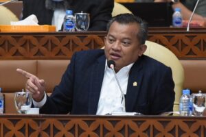 Anggota Komisi VI DPR RI, Mulyadi
