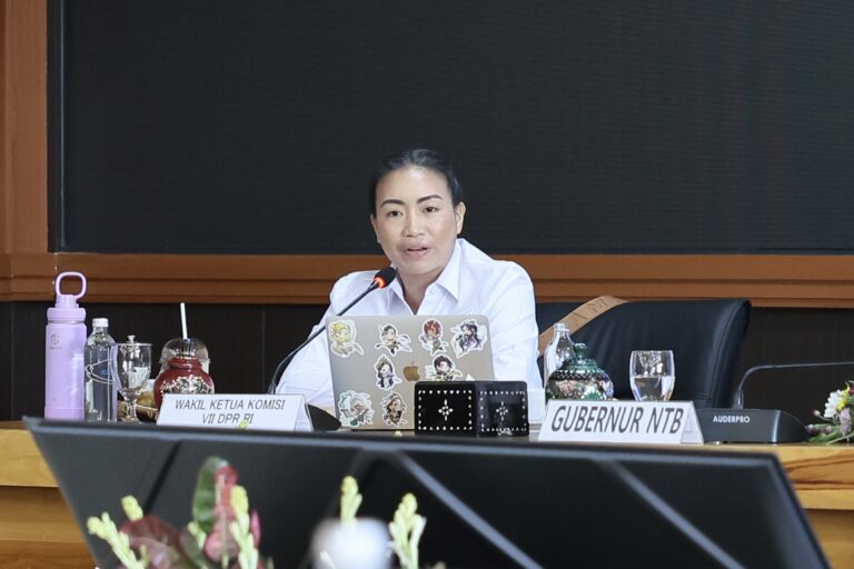 Wakil Ketua Komisi VII DPR RI, Rahayu Saraswati Djojohadikusumo