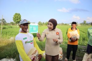 Legislator Partai Gerindra Hj. Rahmawati, S.H. berdialog dengan petani saat meninjau kawasan perbenihan padi di Desa Gunung Putih, Bulungan, Kalimantan Utara.