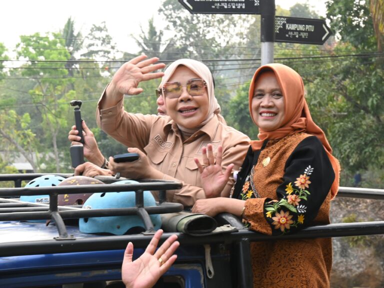 Anggota Komisi VII DPR RI, Rahmawati
