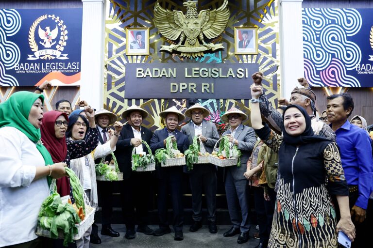 Ketua Badan Legislasi (Baleg) DPR RI, Bob Hasan