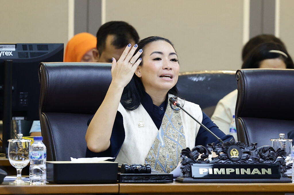 Ketua Pansus RUU Desain Industri, Rahayu Saraswati D. Djojohadikusumo
