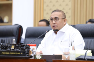 Wakil Ketua Komisi VI DPR RI, Andre Rosiade