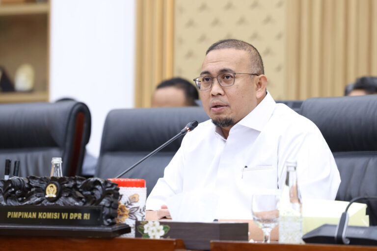 Wakil Ketua Komisi VI DPR RI, Andre Rosiade