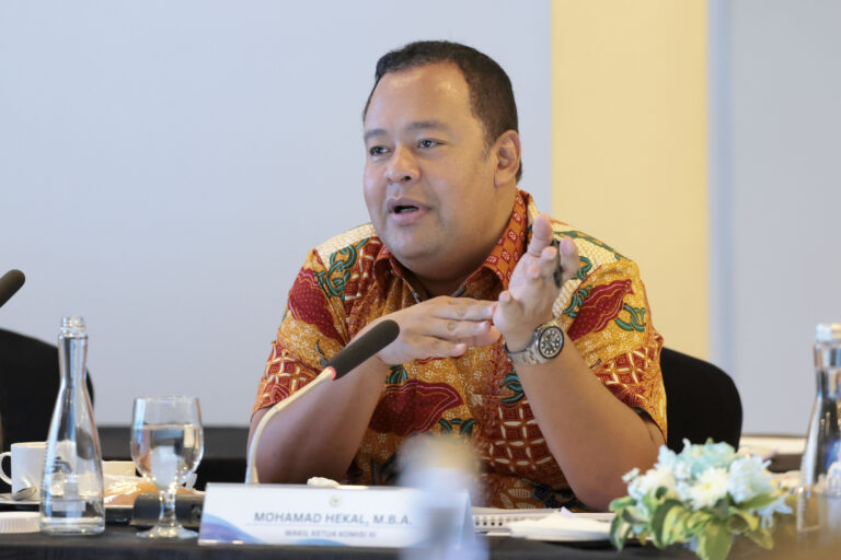 Wakil Ketua Komisi XI DPR RI, Mohamad Hekal