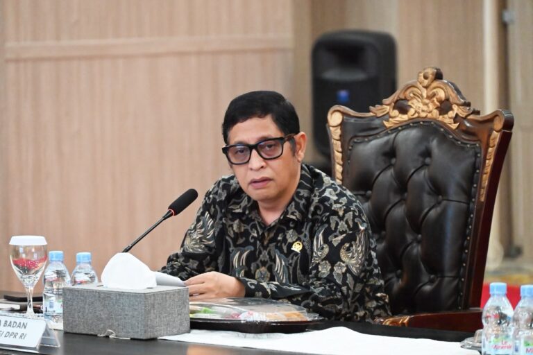 Ketua Badan Legislasi (Baleg) DPR RI, Bob Hasan