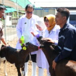Kemandirian Susu Nasional, Endang Thohari Dorong Penguatan Sapi Lokal