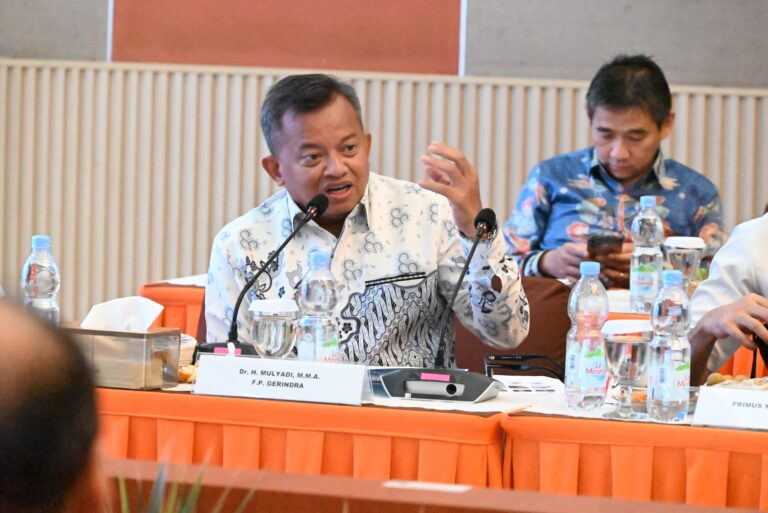 Anggota Komisi XI DPR RI, Mulyadi