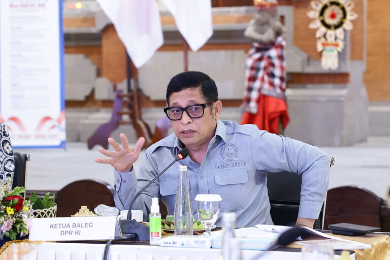 Ketua Baleg DPR RI, Bob Hasan