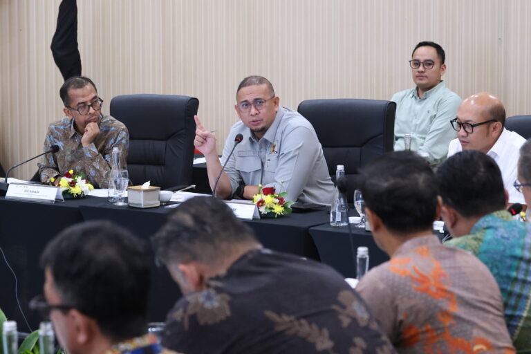 Wakil Ketua Komisi VI DPR RI, Andre Rosiade